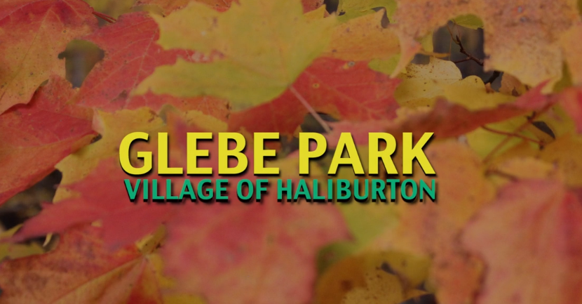 Glebe Park Video